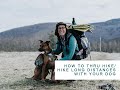 How to Thru Hike/Hike Long Distances with your Dog