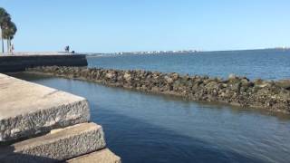 @trinamason takes a break after skate in Saint Augustine Florida