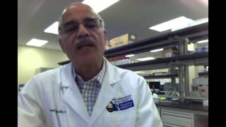 Video Abstract: Circulation of microRNAs in the hemolymph of Drosophila