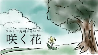 ウルトラ寿司ふぁいやー「咲く花」【Lyric Video】