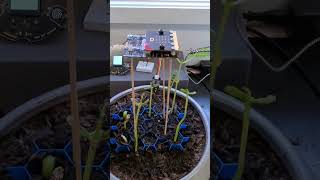 micro:bit grow light