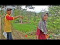 SUASANA KAMPUNG INI SELALU BIKIN BETAH. INDAH ALAM DESANYA