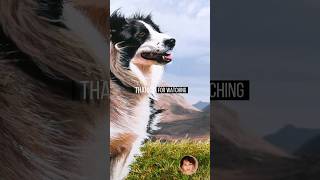 Painting a Dog | Time Lapse | #shortvideo #timelapse #painting