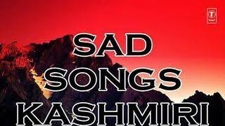 Che kamu Soni Myaani || Shazia Bashir || Kashmiri song ❣️ #sadstatus #newkashmiristatus #broken❣️