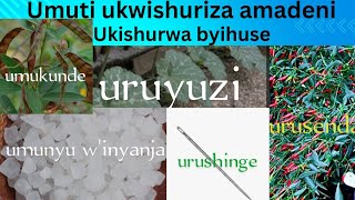 Dore umuti ukwishuriza amadeni, niba abantu baranze kukwishura barakwishura vuba.