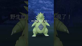 OMG! 竟然遇到野生的班基拉斯! Oh my god I encountered wild Tyranitar in #pokemongo #pokemon