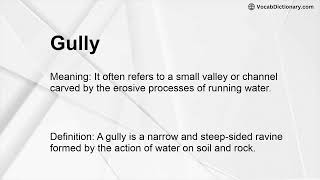 Gully Meaning