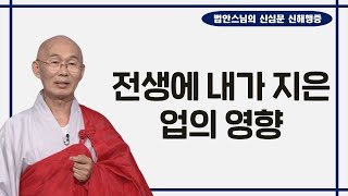 전생에 내가 지은 업은 현생의 나와 내 주변에 어떤 영향을 미칠까?-법안스님의 신심문 신해행증 41회