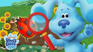 Guess the Garden Object Game w/ Blue \u0026 Friends 🔍 | Blue's Clues \u0026 You!