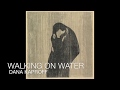 Walking On Water / Dana Kaproff