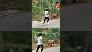 Captain Miller Shooting in Madurai | Dhanush Jogging | #shorts