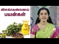 விளக்கெண்ணெய் பயன்கள் | Castor Oil Pack | Nutrition Diary | Jaya TV Adupangarai