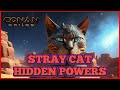 Stray Cats Conan Exiles   Hidden Powers?