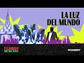 la luz del mundo 2 los incondicionales escándalo mexicano