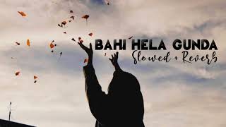 Bahi Hela Gunda (Slowed + Reverb)