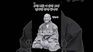 우린 지금 이 순간 그냥 걷기만 하면 됩니다 (법정스님)