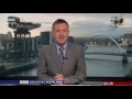 giant wasp invades bbc scotland news camera bbc news