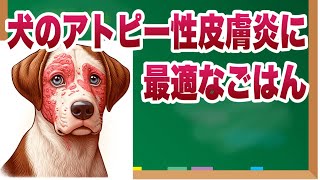 犬のアレルギー、アトピー性皮膚炎に最適なごはん！獣医師が教える重要成分