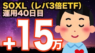 SOXL【レバレッジ3倍ETF米国株式】評価額100万円超えました