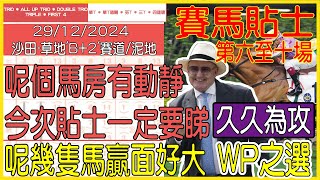 【賽馬貼士提供】2024年12月29日 沙田 (第六至十場) 呢個馬房有動靜 今次貼士一定要睇!!! 久久為攻 WP之選!!! #賽馬貼士 #賽馬 #賽馬投注 #賽馬分析