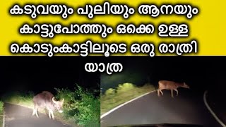 Gavi Forest Night Travel.. കടുവയും പുലിയും ആനയും  ഒക്കെ ഉള്ള കൊടുംകാട്ടിലൂടെ ഒരു രാത്രി യാത്ര