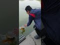 양평 지평낚시터 향어 손맛 fishing