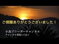 鑑賞鳩を飼育してみませんか。幾つか品種の紹介。