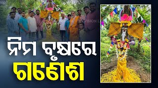 Ganesh Puja 2024: People in Berhampur Worship Lord Ganesh in Unique Way with Neem Tree