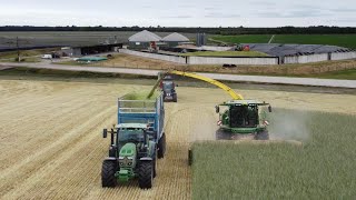 XXL Silage IN FRANCE 2023 | Ensilage de Seigle en Gironde avec l’ETA Kozub | John Deere 9700i