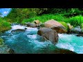 Pure Nature Sounds: River and Waterfall | Ideal Background for Relaxation and Sleep