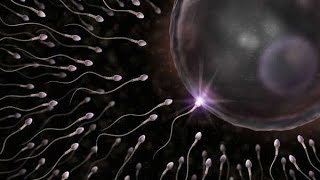 Experts say Men who have casual sex produce better quality sperm and have faster orgasms