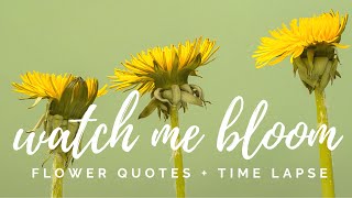 TOP 25 INSPIRATIONAL FLOWER QUOTES: relaxing music and time lapse as flowers bloom