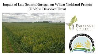 UAN vs Melted Urea for Increasing Wheat Protein