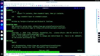 Linux: how to use -- which and whatis commands