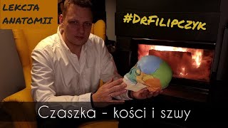 kości czaszki, szwy #drfilipczyk anatomia cranio