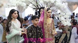 Abida Usmaan Wedding Highlights (Song Meri Zindagi Hai)