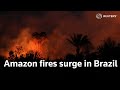 Amazon fires surge anew in Brazil as cleared forest burns