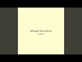 Whisper Silver Storm