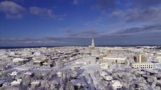 Winter In Reykjavik