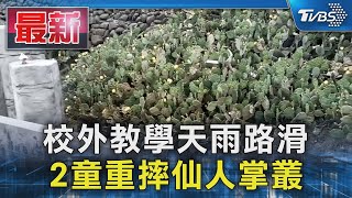 校外教學天雨路滑 2童重摔仙人掌叢｜TVBS新聞 @TVBSNEWS01