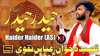 13 Rajab Qasida | Haider Haider (a.s) | Syed Abbas Haider Naqvi |New Qasida 2023