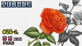 [Flower Draw/Botanical Art] #24-2. Rose Colored Pencil Drawing Part 1. (Flower Drawing Lesson)
