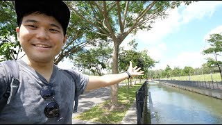 Possibly The Most Beautiful Town in Singapore | PUNGGOL🇸🇬