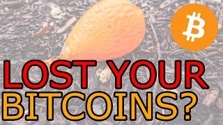 The Amount of Bitcoin Is Scarcer Than We Think (The Cryptoverse #129)