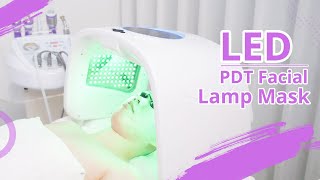 PDT LED Photon Facial | LED Light Therapy Lamp | LED LIGHT THERAPY MASK | Acne Treatment | 110P