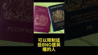 人大或釋法取消BNO中國籍