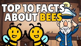 Facts about Bees | Interesting Facts about Bees | Bee Facts