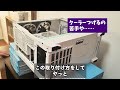 【自作pc】ダブルタイフーンでいこう！2023夏自作パソコン⑦ jiushark jf13k diamond white