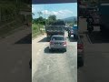 dia pun ambik turn nk masok highway ke😂 | video TT sy4fikk | #shorts #duck