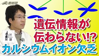 【1分解説】カルシウムイオンの欠乏が染色体異常を引き起こす原因を解明【産総研公式】